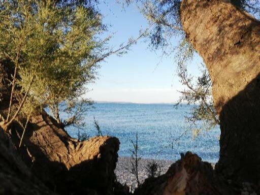 Paulina Daire Split Dış mekan fotoğraf